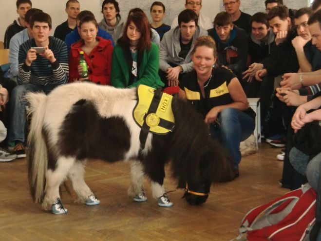 Klikněte pro zobrazení původního (velkého) obrázku